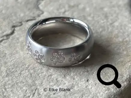 Ein silberner Pfotenring, der auf einem Stein liegt